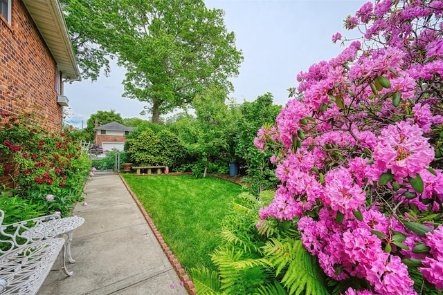 613 Gary Pl, Westbury, NY 11590 - view of yard