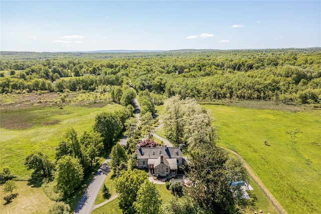 26 Roberson Ave, Pine Bush, NY 12566 - view of subject property featuring a forest