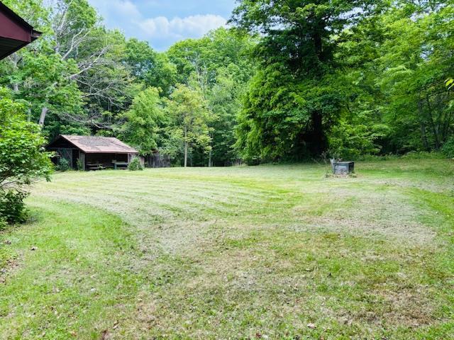 43 Stissing Mountain Dr, Pine Plains, NY 12567 - photo 7