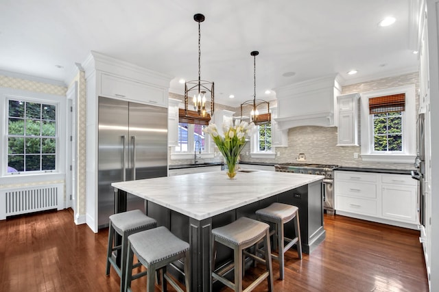 7 Middle Dr, Manhasset, NY 11030 - kitchen with radiator, high end appliances, healthy amount of natural light, white cabinets, and crown molding