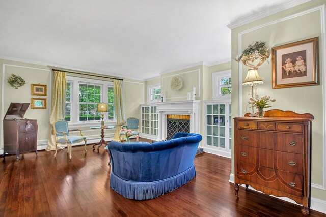 7 Middle Dr, Manhasset, NY 11030 - living area featuring wood finished floors, ornamental molding, a fireplace, and baseboards