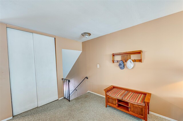 24 Monet Ct Unit 24, Middle Island, NY 11953 - photo 10
