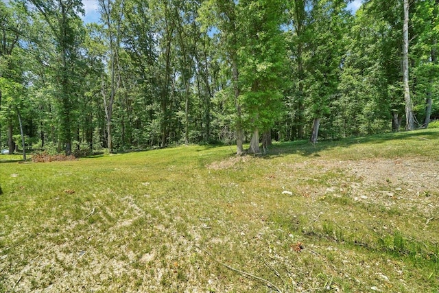 42 Greycourt Rd, Chester, NY 10918 - view of green lawn