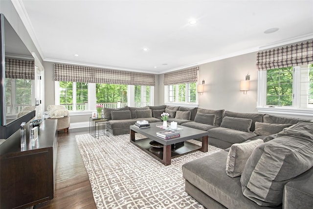 93 Haights Cross Rd, Chappaqua, NY 10514 - living room featuring ornamental molding, dark wood-type flooring, and recessed lighting