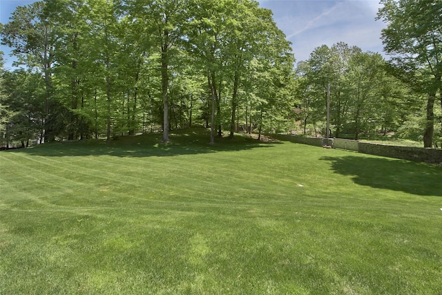 93 Haights Cross Rd, Chappaqua, NY 10514 - view of grassy yard