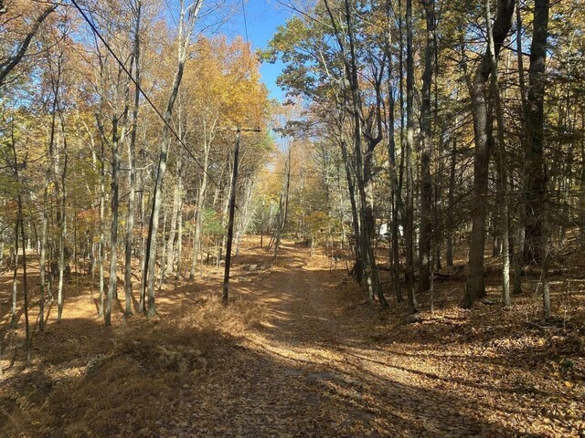 3 Perry Rd, Barryville, NY 12719 - view of nature