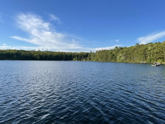 3 Perry Rd, Barryville, NY 12719 - water view featuring a heavily wooded area