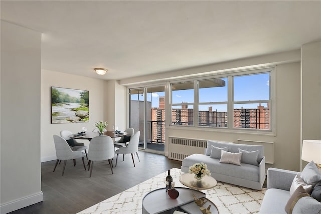 825 Morrison Ave Unit 5H, Bronx, NY 10473 - living room featuring radiator heating unit, wood finished floors, and baseboards