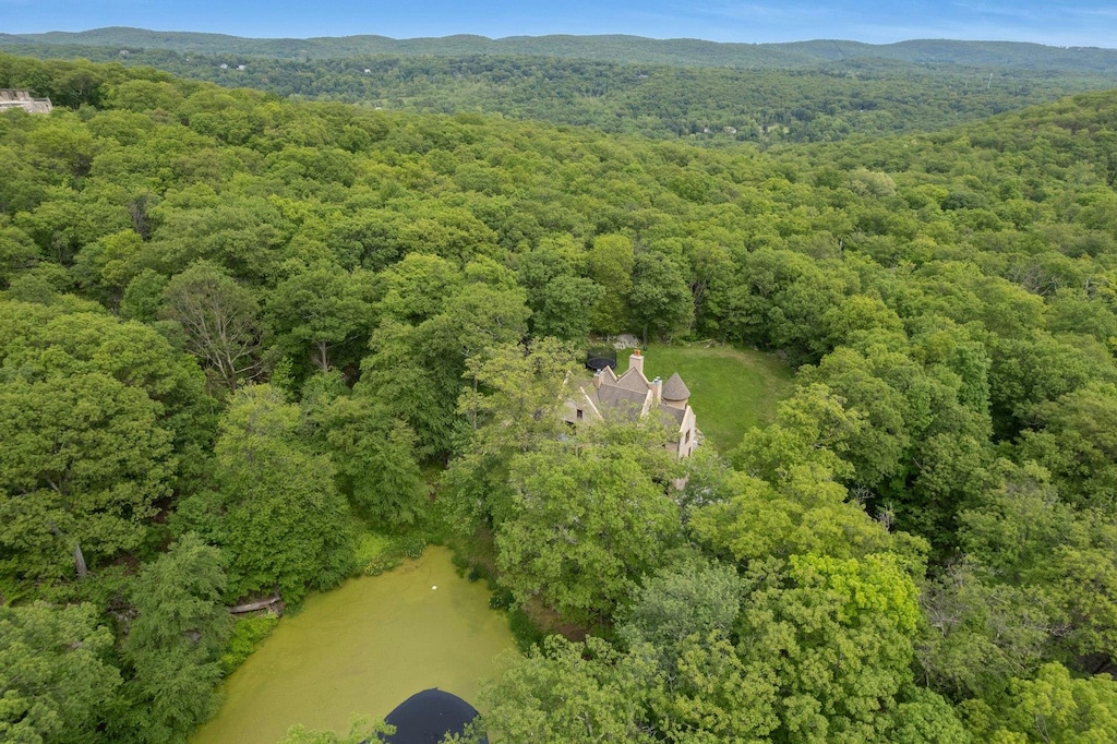 50 Chapman Rd, Garrison, NY 10524 - aerial overview of property's location with a forest