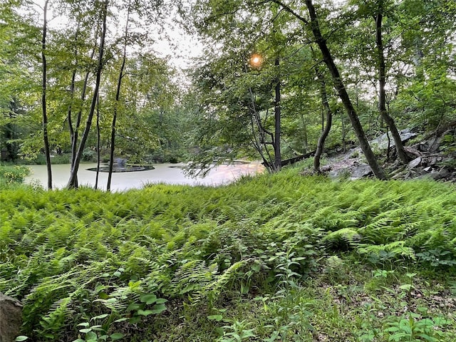 50 Chapman Rd, Garrison, NY 10524 - photo 12