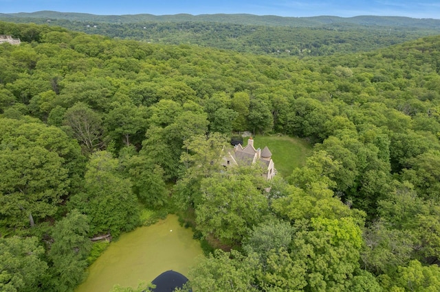 50 Chapman Rd, Garrison, NY 10524 - photo 5