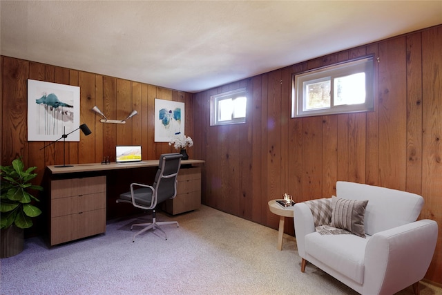 21 Rita Cres, Commack, NY 11725 - office area featuring carpet floors and wooden walls