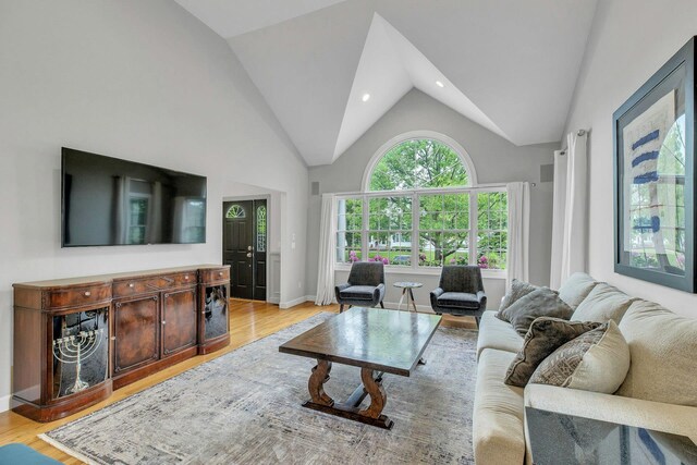 6 Esteves Ct, Melville, NY 11747 - living room with light wood finished floors, recessed lighting, high vaulted ceiling, and baseboards