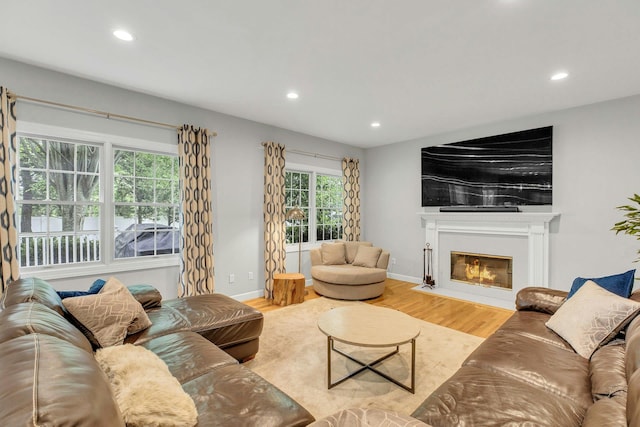 6 Esteves Ct, Melville, NY 11747 - living area featuring recessed lighting, a fireplace with flush hearth, wood finished floors, and baseboards