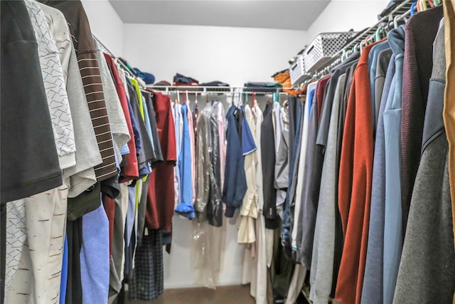 8 Wisteria Ln, Lake Grove, NY 11755 - view of walk in closet