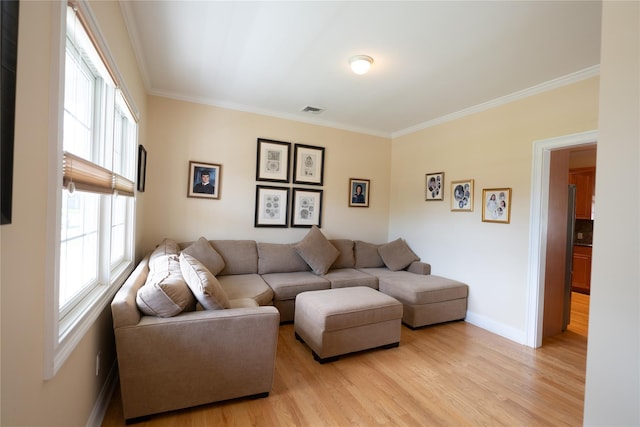 14 Gordon Ave, Plainview, NY 11803 - living area with ornamental molding, light wood-style floors, plenty of natural light, and baseboards