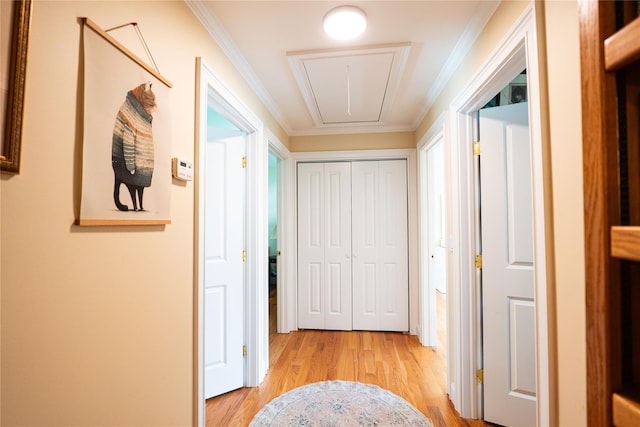 14 Gordon Ave, Plainview, NY 11803 - hall with attic access, light wood-type flooring, and ornamental molding