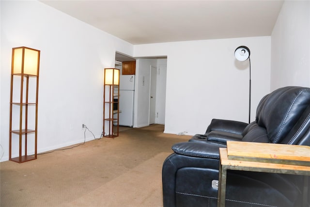 100 Randall Ave Unit 4J, Freeport, NY 11520 - living room with light carpet