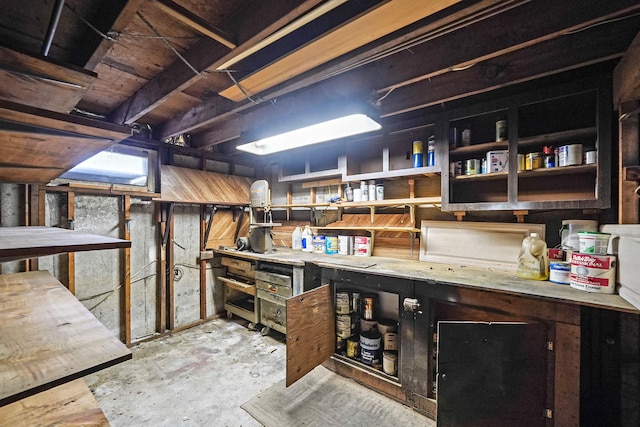 8 Adolphi Pl, Ronkonkoma, NY 11779 - basement featuring a workshop area