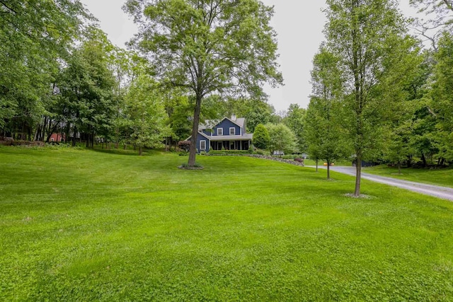 470 Winding Hill Rd, Montgomery, NY 12549 - view of green lawn