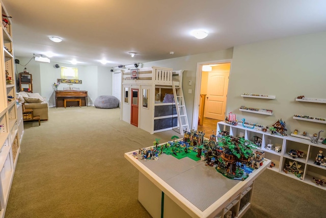 470 Winding Hill Rd, Montgomery, NY 12549 - view of carpeted bedroom