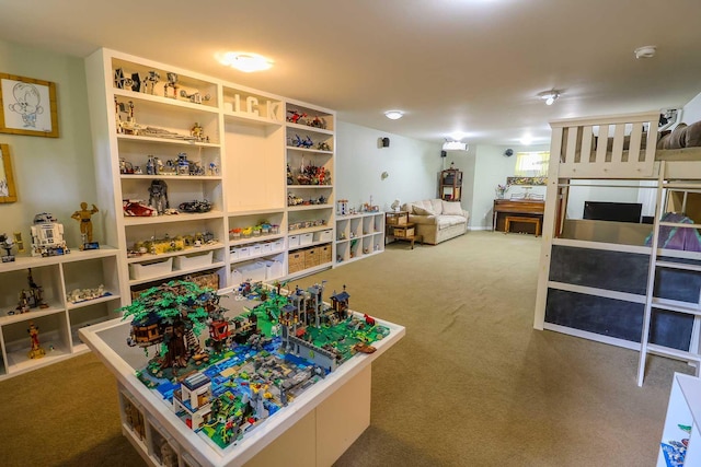 470 Winding Hill Rd, Montgomery, NY 12549 - interior space with carpet flooring