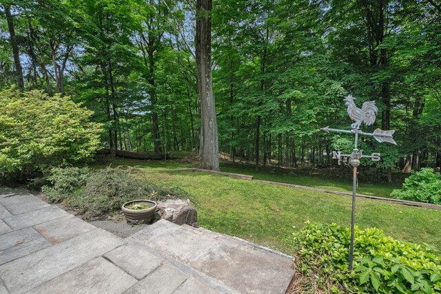 26 Mayberry Rd, Chappaqua, NY 10514 - view of grassy yard
