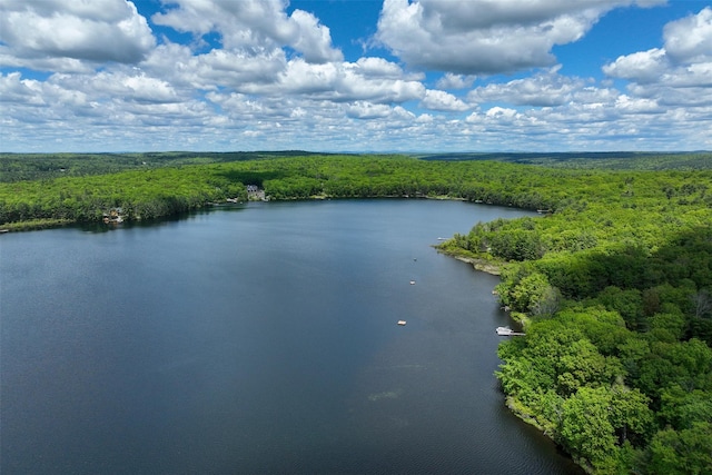 57 Zane Grey Way, Barryville, NY 12719 - bird's eye view of a forest and a nearby body of water
