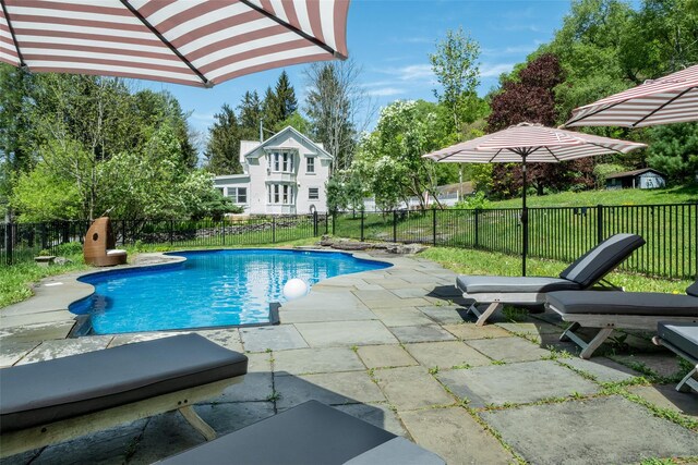 336 County Highway 5, Bovina Center, NY 13740 - view of pool with a patio area and a fenced backyard