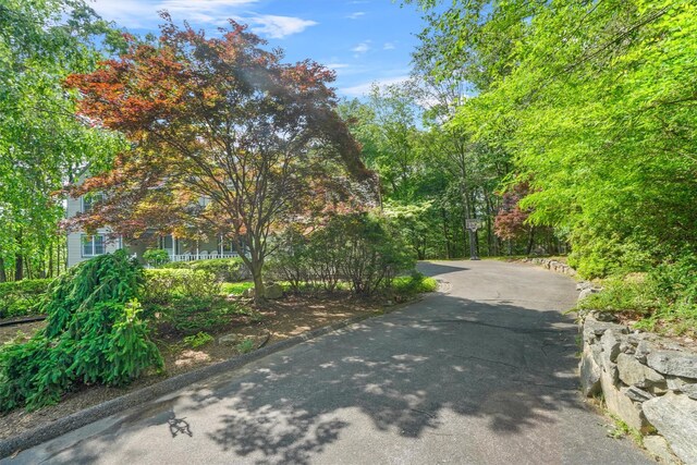 57 Wilner Rd, Somers, NY 10589 - view of asphalt road