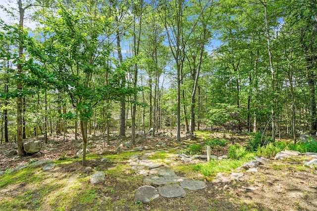 57 Wilner Rd, Somers, NY 10589 - view of nature