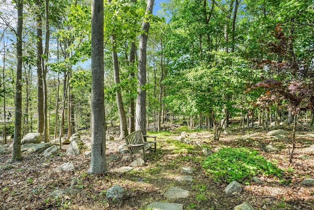 57 Wilner Rd, Somers, NY 10589 - view of undeveloped land