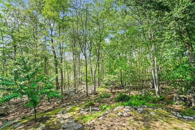 57 Wilner Rd, Somers, NY 10589 - view of undeveloped land