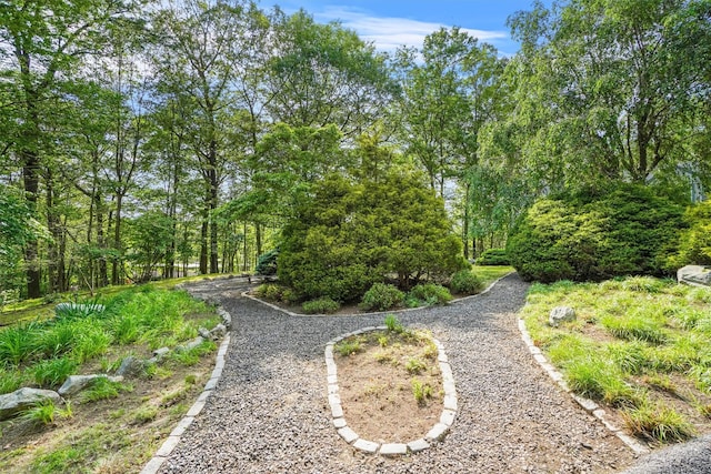 57 Wilner Rd, Somers, NY 10589 - view of yard