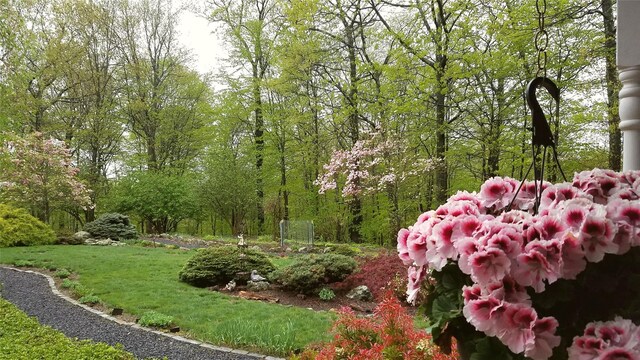 57 Wilner Rd, Somers, NY 10589 - view of yard