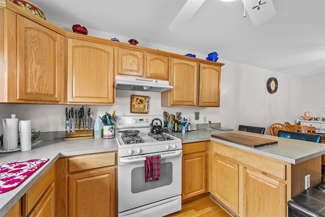 1009 Ethan Allen Dr Unit 1009, New Windsor, NY 12553 - kitchen with white range with gas cooktop, under cabinet range hood, a peninsula, and light countertops
