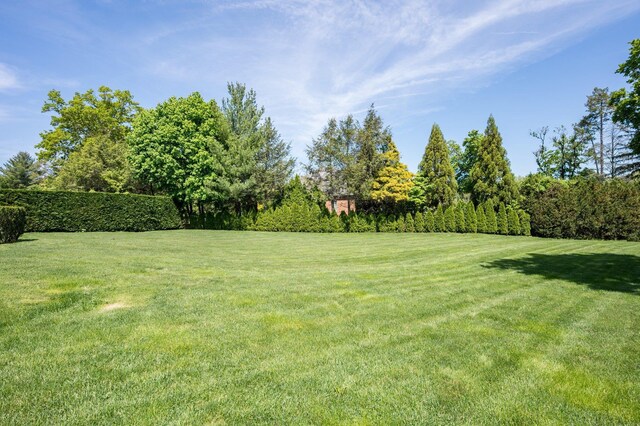 24 The Pnes, Old Westbury, NY 11568 - view of green lawn