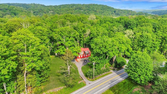 161 Goldens Bridge Rd, Katonah, NY 10536 - photo 41
