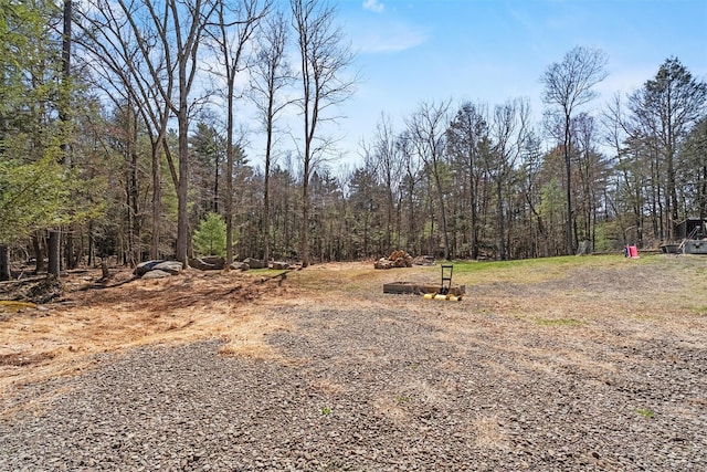 916 Queens Hwy, Accord, NY 12404 - view of yard featuring a forest view