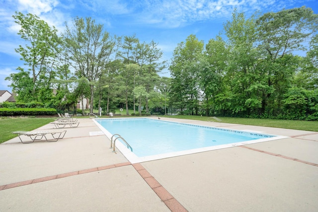 74 Gauguin Ct Unit 74, Middle Island, NY 11953 - outdoor pool featuring a patio, view of scattered trees, and a lawn