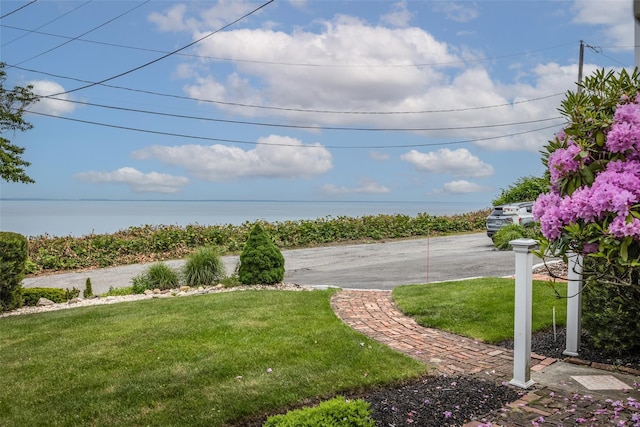 26 Point Breeze Dr, Rocky Point, NY 11778 - view of green lawn
