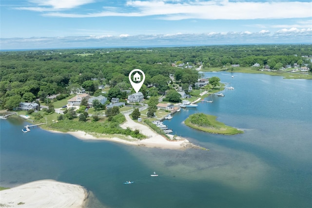 2335 Minnehaha Blvd, Southold, NY 11971 - view of property location with a large body of water and a heavily wooded area