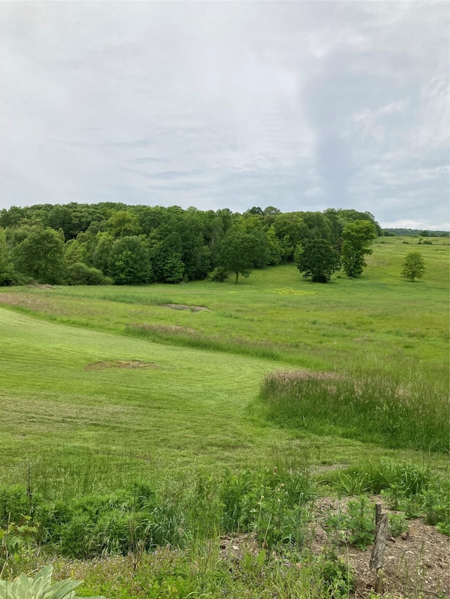 73 Peach Ln, Clintondale, NY 12515