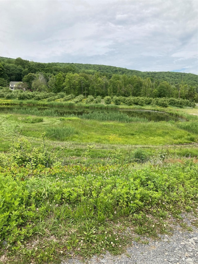 73 Peach Ln, Clintondale, NY 12515