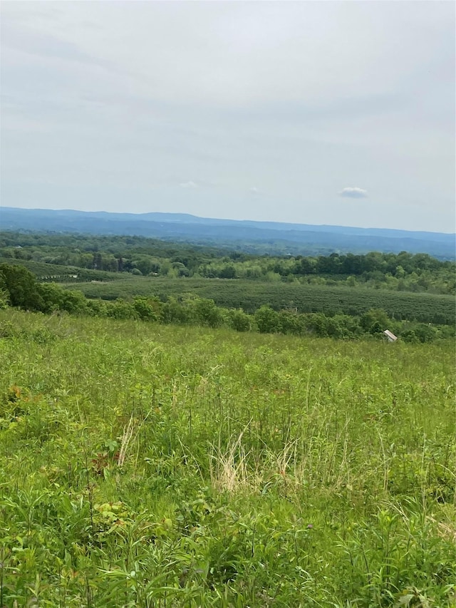 73 Peach Ln, Clintondale, NY 12515