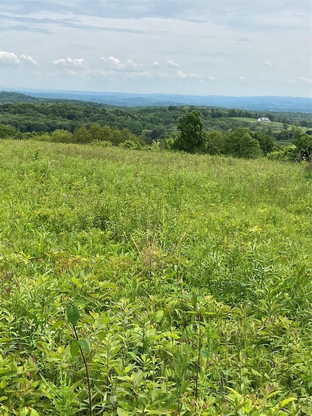 73 Peach Ln, Clintondale, NY 12515
