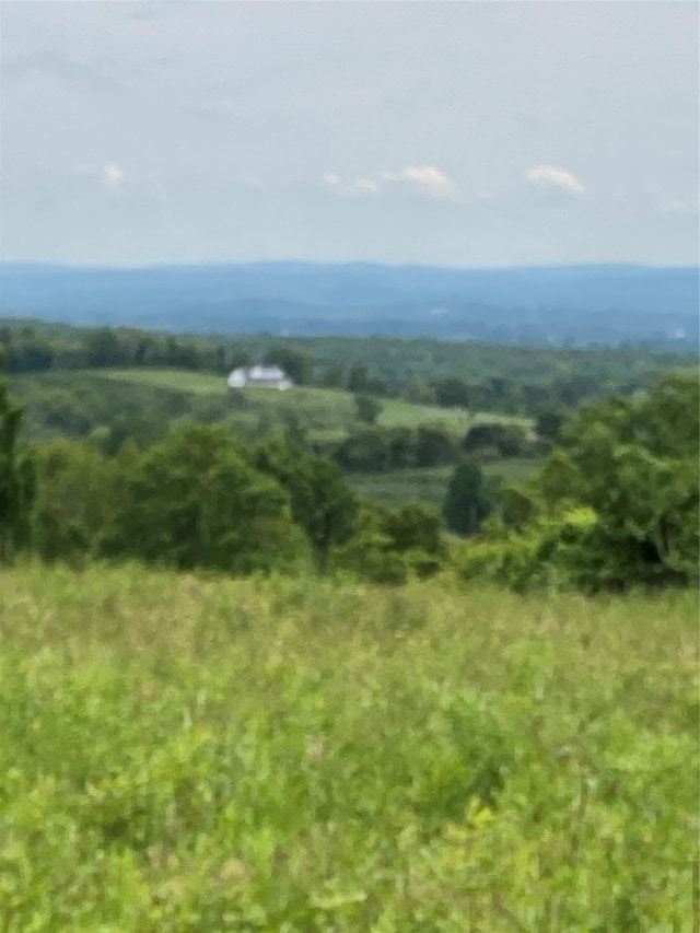 73 Peach Ln, Clintondale, NY 12515