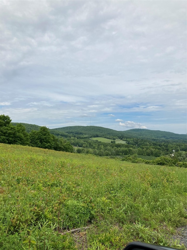 73 Peach Ln, Clintondale, NY 12515