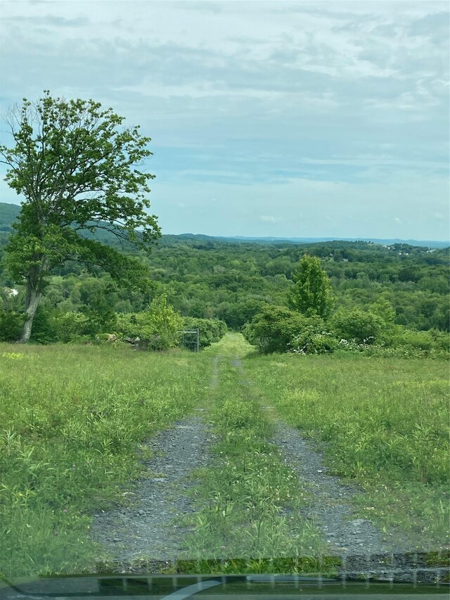 73 Peach Ln, Clintondale, NY 12515