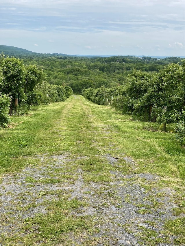 73 Peach Ln, Clintondale, NY 12515